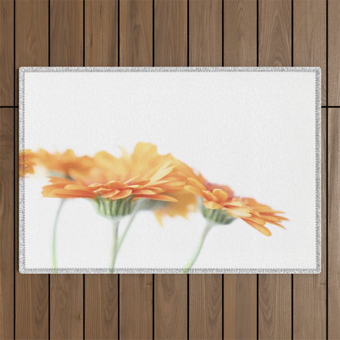 Orange hazy gerbera daisy  Floral spring and summer nature photography  Outdoor Rug Gallery Image 1