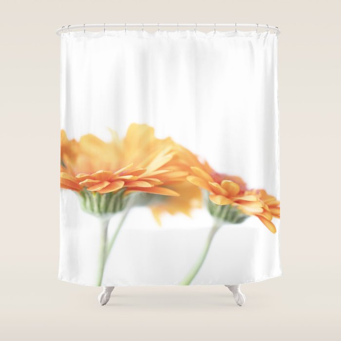 Orange hazy gerbera daisy  Floral spring and summer nature photography  Shower Curtain Gallery Image 1