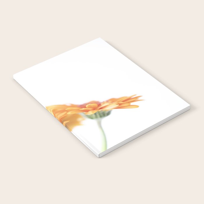 Orange hazy gerbera daisy  Floral spring and summer nature photography  Notebook Gallery Image 2