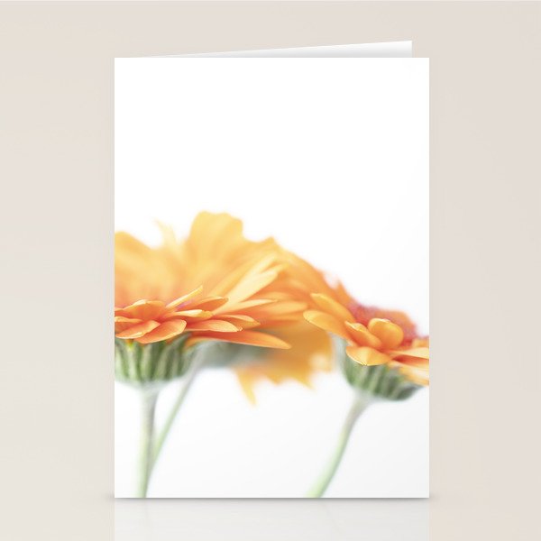 Orange hazy gerbera daisy  Floral spring and summer nature photography  Stationery Card Gallery Image 1