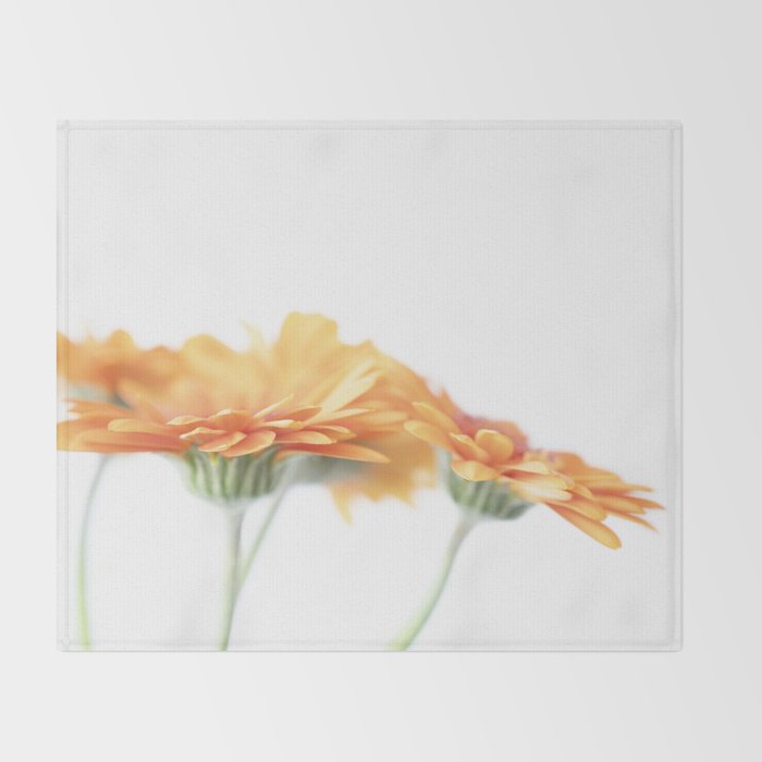 Orange hazy gerbera daisy  Floral spring and summer nature photography  Throw Blanket Gallery Image 2