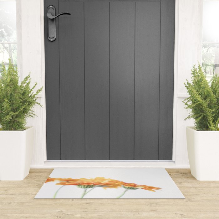 Orange hazy gerbera daisy  Floral spring and summer nature photography  Welcome Mat Gallery Image 3