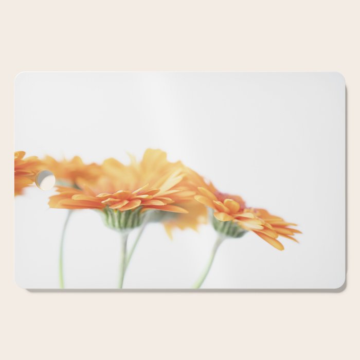 Orange hazy gerbera daisy  Floral spring and summer nature photography  Cutting Board Gallery Image 1