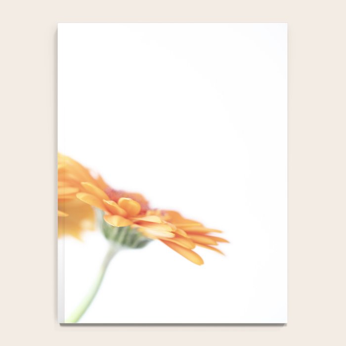Orange hazy gerbera daisy  Floral spring and summer nature photography  Notebook Gallery Image 4