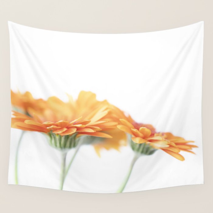 Orange hazy gerbera daisy  Floral spring and summer nature photography  Wall Tapestry Gallery Image 1