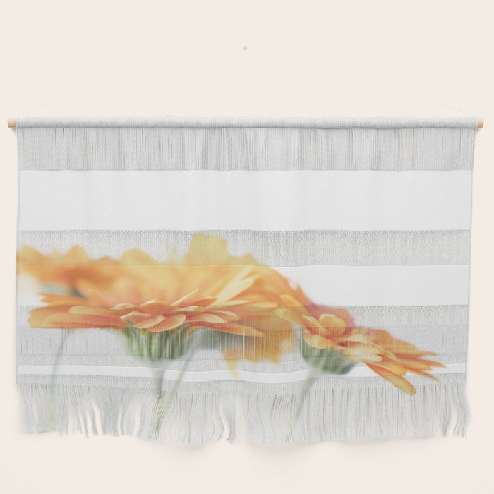 Orange hazy gerbera daisy  Floral spring and summer nature photography  Wall Hanging Gallery Image 1