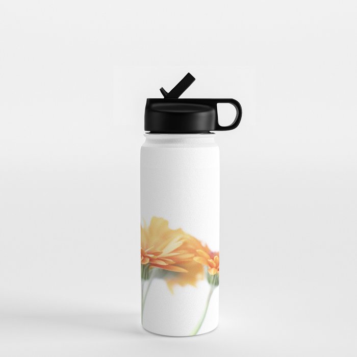 Orange hazy gerbera daisy  Floral spring and summer nature photography  Water Bottle Gallery Image 1