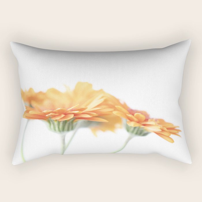 Orange hazy gerbera daisy  Floral spring and summer nature photography  Rectangular Pillow Gallery Image 2