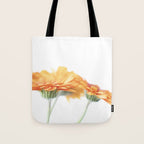 Orange hazy gerbera daisy  Floral spring and summer nature photography  Tote Bag Gallery Image 1