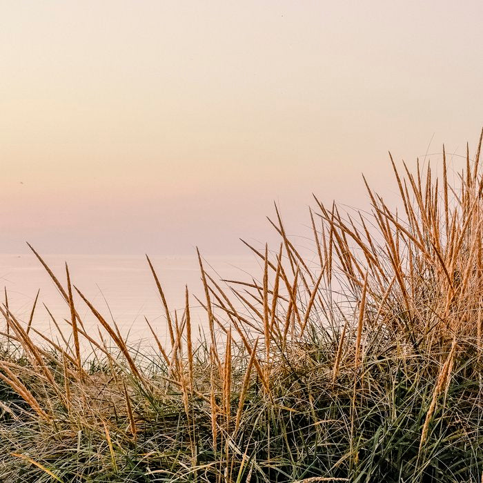 the moments after sunset - nature photograph beach Coffee Mug Gallery Image 2
