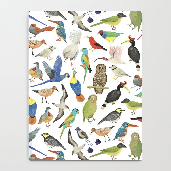 Endangered Birds Around the World Notebook Gallery Image 4
