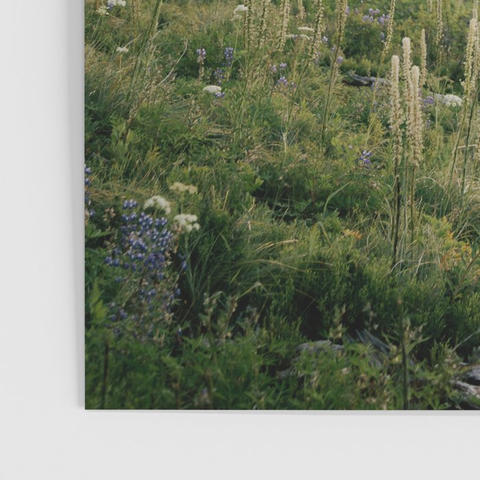 Foggy Green Forest Poster Gallery Image 3