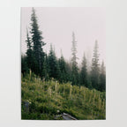 Foggy Green Forest Poster Gallery Image 4