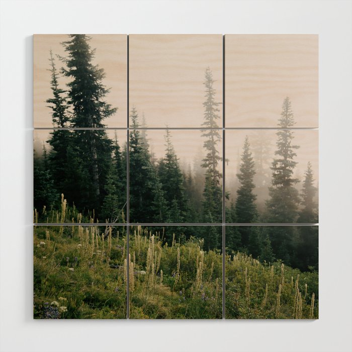 Foggy Green Forest Wood Wall Art Gallery Image 1
