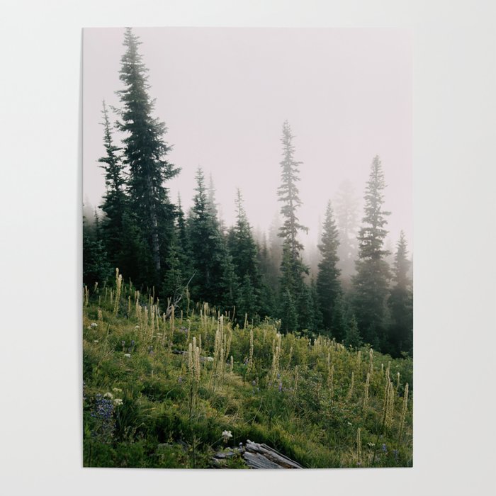 Foggy Green Forest Poster Gallery Image 1