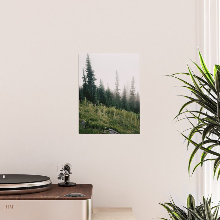 Foggy Green Forest Poster Gallery Image 2