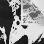 Black and white splat - Abstract, black paint splatter painting Wall Tapestry Gallery Image 3