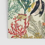 coral reef deep silence Poster Gallery Image 3
