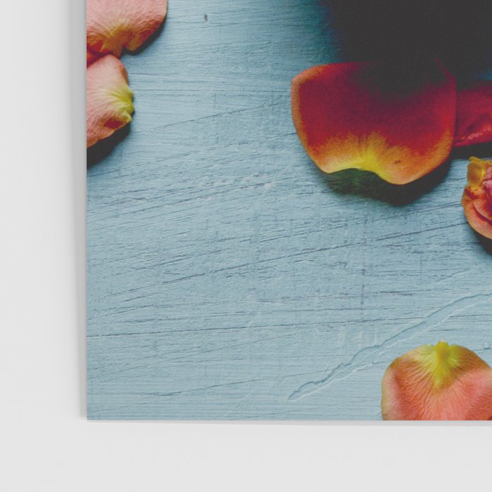 Pomegranate and Rose Petals - blue botanical flower food still life art Poster Gallery Image 3