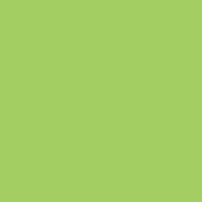 Light Green Lime Solid Color Coffee Mug Gallery Image 2