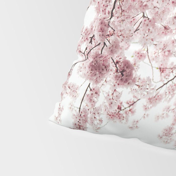 Cherry Blossoms Pillow Sham Gallery Image 4