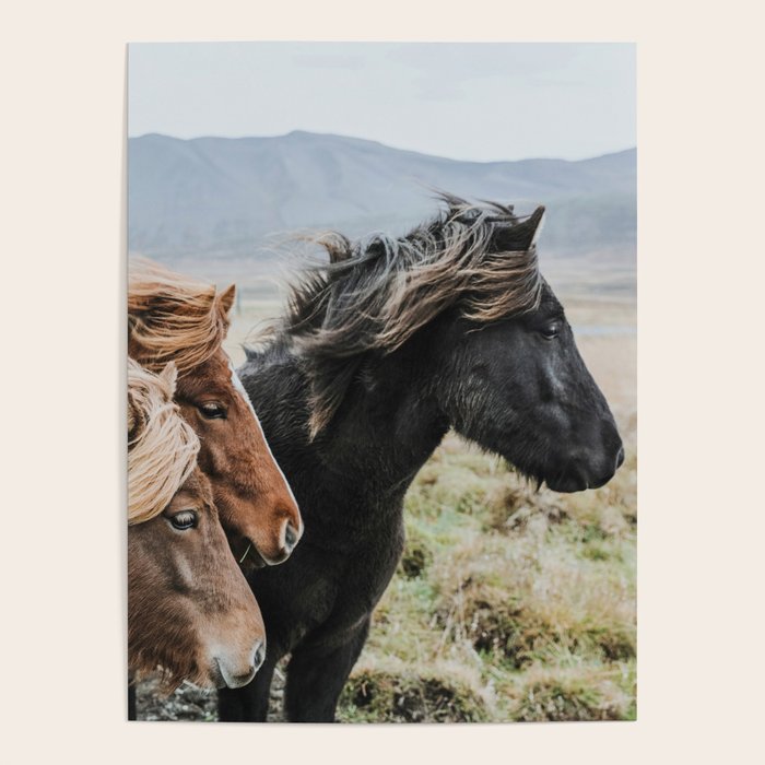 Thingeyrar, Iceland Poster Gallery Image 4