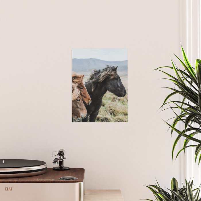 Thingeyrar, Iceland Poster Gallery Image 2