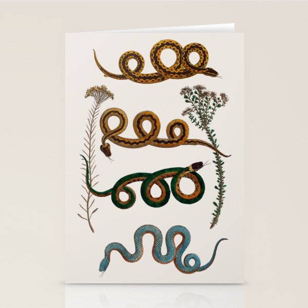 Albertus Seba Baby Breath Snakes  Stationery Card Gallery Image 2