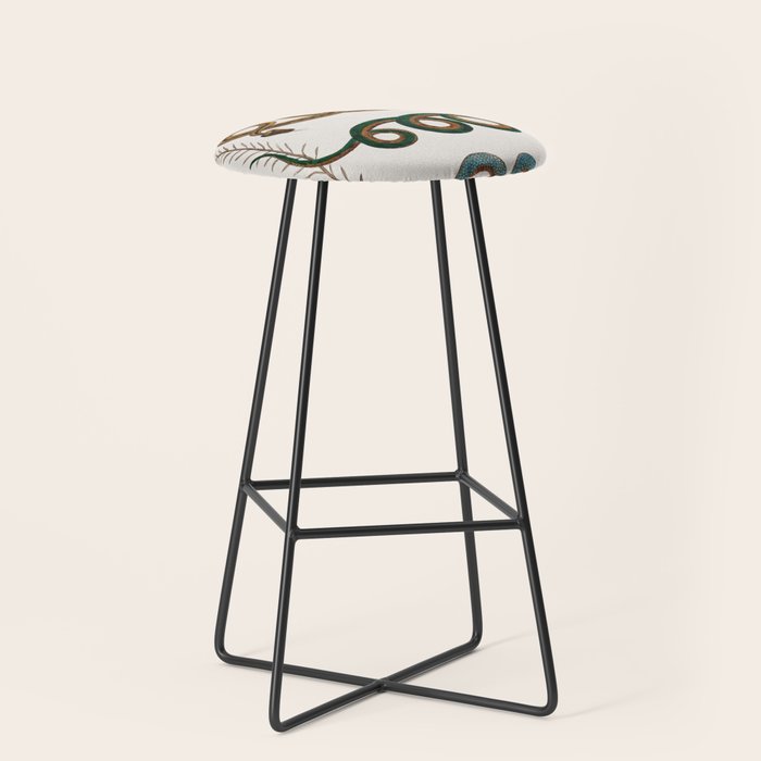 Albertus Seba Baby Breath Snakes  Stool Gallery Image 1