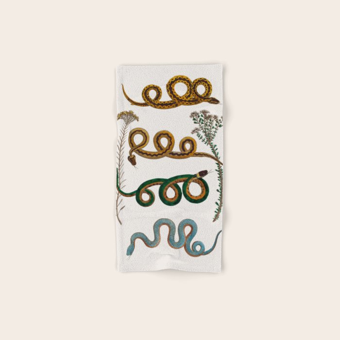 Albertus Seba Baby Breath Snakes  Bath Towel Gallery Image 1