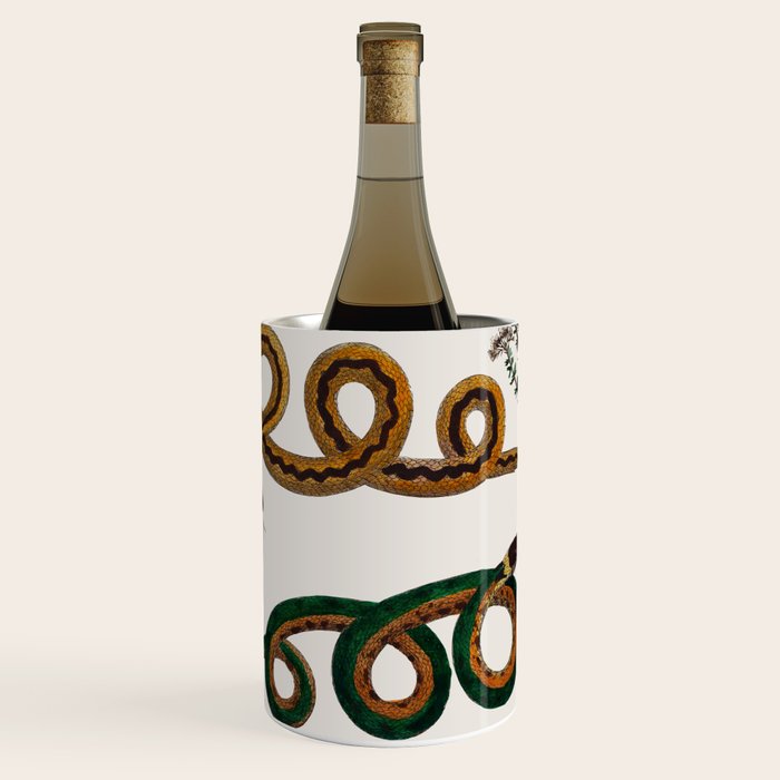 Albertus Seba Baby Breath Snakes  Wine Chiller Gallery Image 1