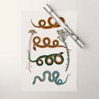 Albertus Seba Baby Breath Snakes  Wrapping Paper Gallery Image 1