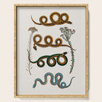 Albertus Seba Baby Breath Snakes  Serving Tray Gallery Image 1