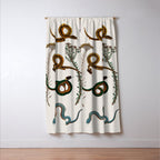 Albertus Seba Baby Breath Snakes  Window Curtain Gallery Image 3