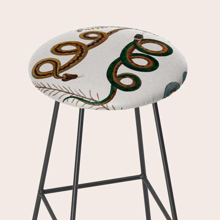 Albertus Seba Baby Breath Snakes  Stool Gallery Image 2