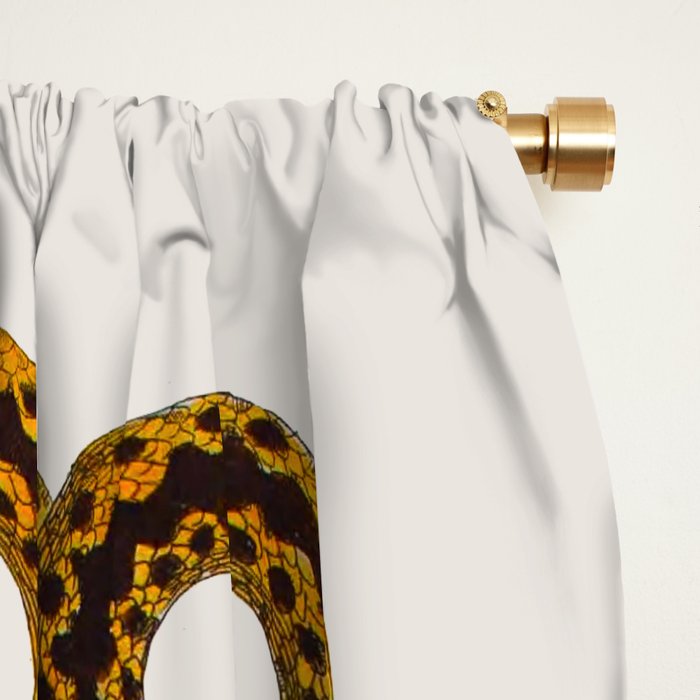 Albertus Seba Baby Breath Snakes  Window Curtain Gallery Image 2