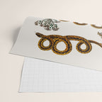 Albertus Seba Baby Breath Snakes  Wrapping Paper Gallery Image 2