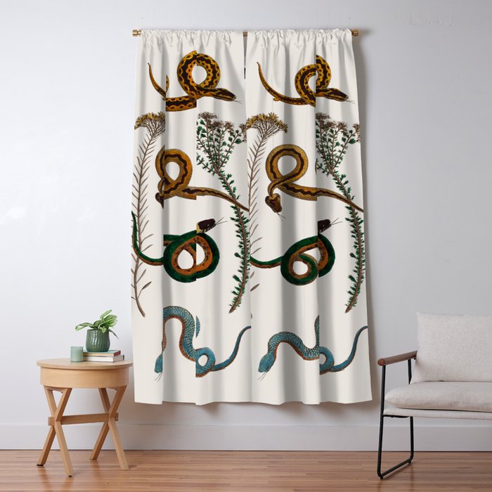 Albertus Seba Baby Breath Snakes  Window Curtain Gallery Image 1