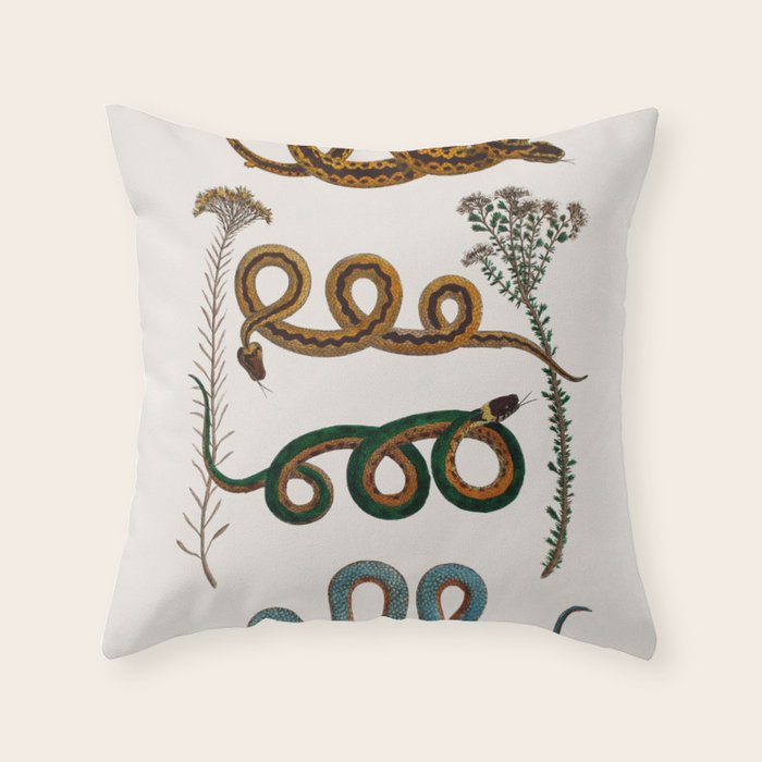 Albertus Seba Baby Breath Snakes  Throw Pillow Gallery Image 1