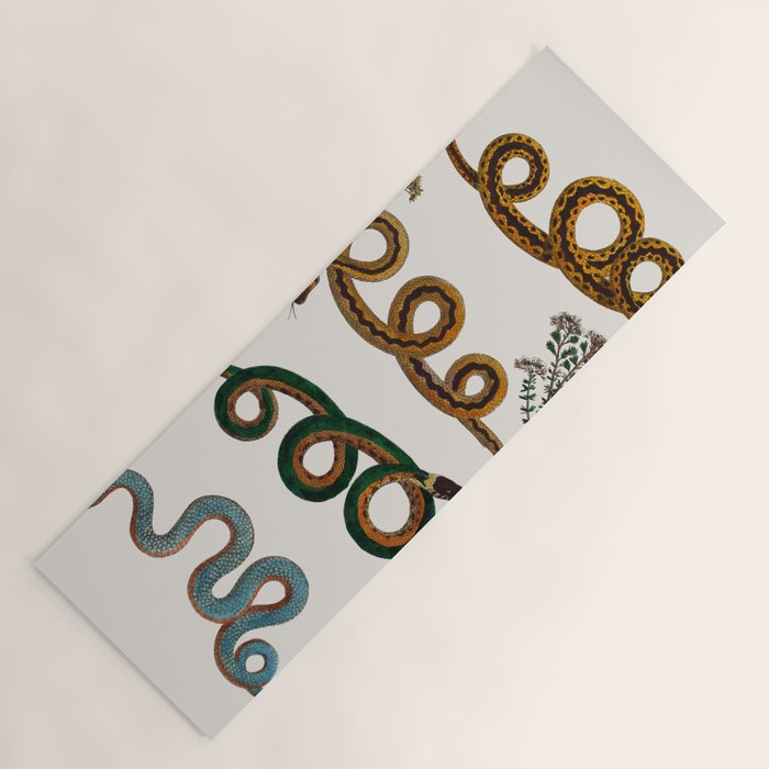 Albertus Seba Baby Breath Snakes  Yoga Mat Gallery Image 1