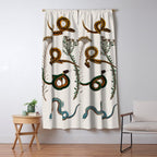Albertus Seba Baby Breath Snakes  Window Curtain Gallery Image 5