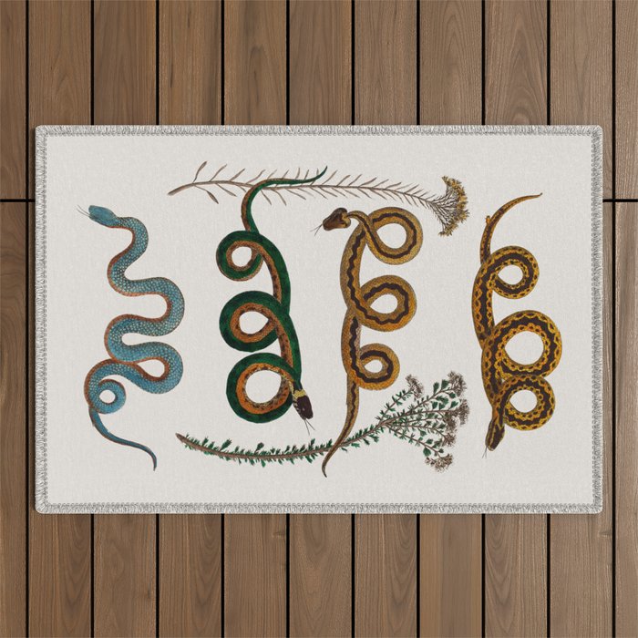 Albertus Seba Baby Breath Snakes  Outdoor Rug Gallery Image 1