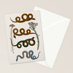 Albertus Seba Baby Breath Snakes  Stationery Card Gallery Image 2