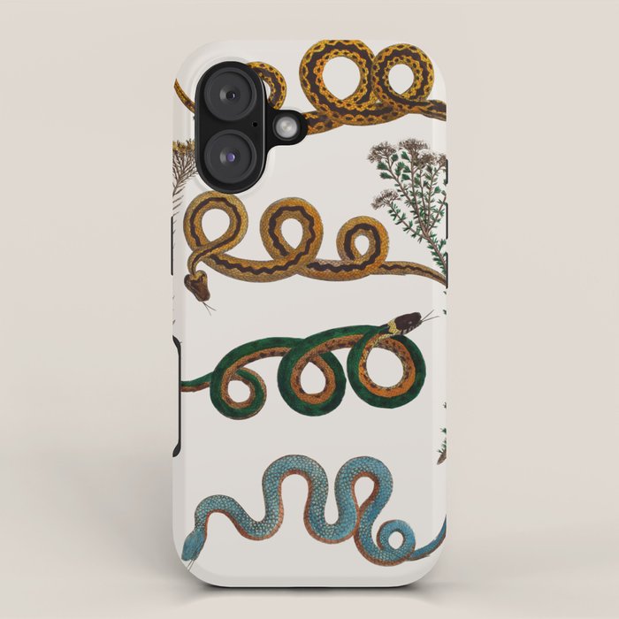 Albertus Seba Baby Breath Snakes  iPhone Case Gallery Image 1