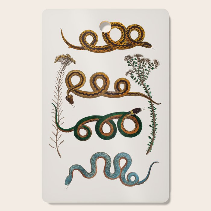 Albertus Seba Baby Breath Snakes  Cutting Board Gallery Image 1