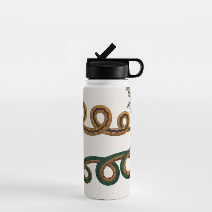 Albertus Seba Baby Breath Snakes  Water Bottle Gallery Image 1