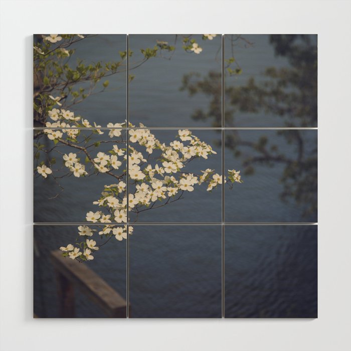 Dogwoods at the Lake x White Dogwoods in Bloom Photography Wood Wall Art Gallery Image 1