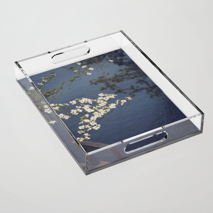Dogwoods at the Lake x White Dogwoods in Bloom Photography Acrylic Tray Gallery Image 1