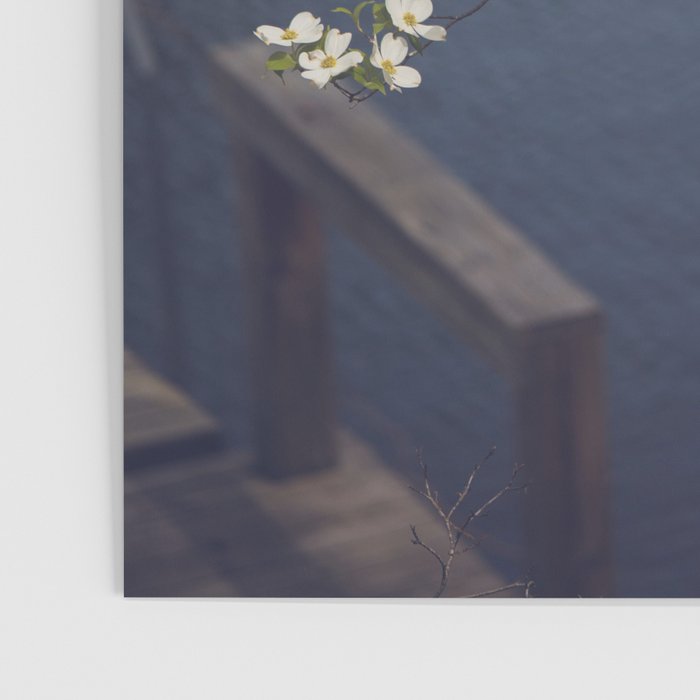 Dogwoods at the Lake x White Dogwoods in Bloom Photography Poster Gallery Image 3