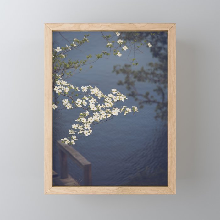 Dogwoods at the Lake x White Dogwoods in Bloom Photography Mini Art Print Gallery Image 1
